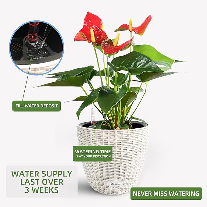 Dexceder 9x8 Inches Rattan Self Watering Planter Indoor Outdoor, Inner Pot Design, Thickened Table Flower Plant Pot with Water Level Indicator (Ivory White) Dexceder