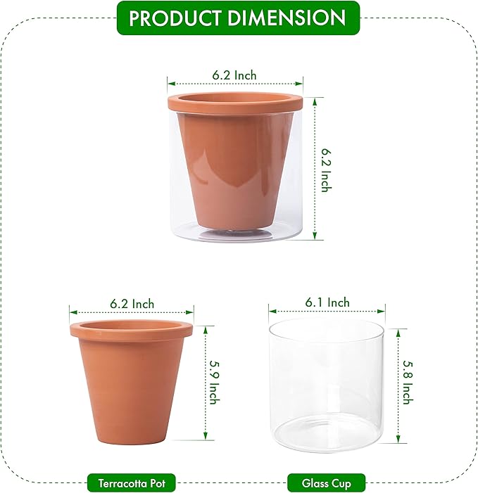 D'vine Dev 6 Inch Design Self Watering Pot for Indoor Plants, Terracotta Planter with Cylinder Glass Cup, 37-X-B-1 DvineDevPlanterPotsandStand