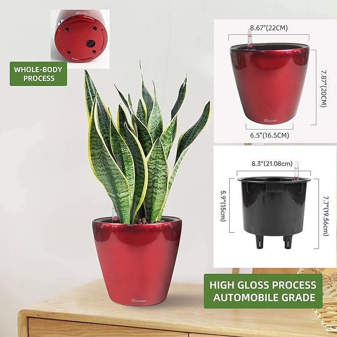 Dexceder 9x8 Inches High Gloss Self Watering Planter Indoor Outdoor, Inner Pot Design, Thickened Table Flower Plant Pot with Water Level Indicator (Red) Dexceder