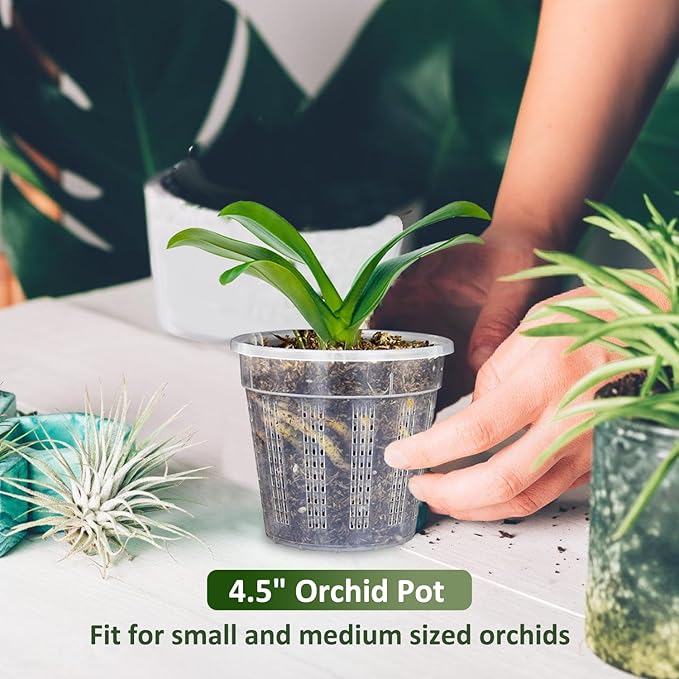 Orchid Pot, 6 Packs of 4.3" Orchid Pots with Holes, Orchid Pots for Repotting, Plastic Orchid Planter for Indoor Outdoor Plants (6 Packs, 4.3") HOLANHING