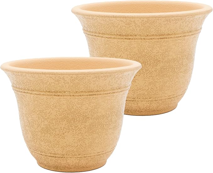 The HC Companies Sierra Round Self-Watering Pot - Lightweight Plastic Planter for Herbs & More - Durable Plant Pots for Indoor Plants & Outdoor Plants (13” Arizona Sand, Pack of 2) TheHCCompanies