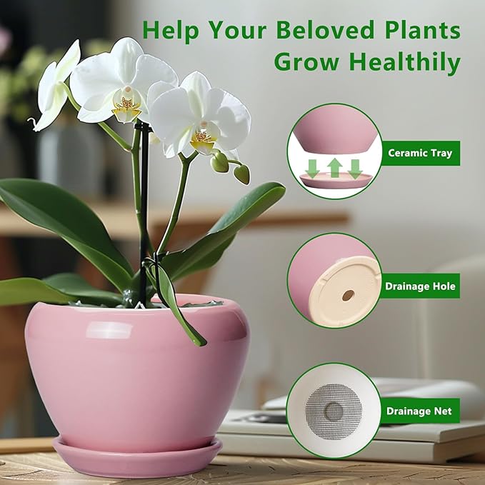 10 Inch Plant Pot - Ceramic Planter for Indoor Plants, Glaze Modern Round Planter with Drainage Hole and Saucer, Gifts for Plant Lovers, Office Patio Home Room Decor, Pink Ceramicfor