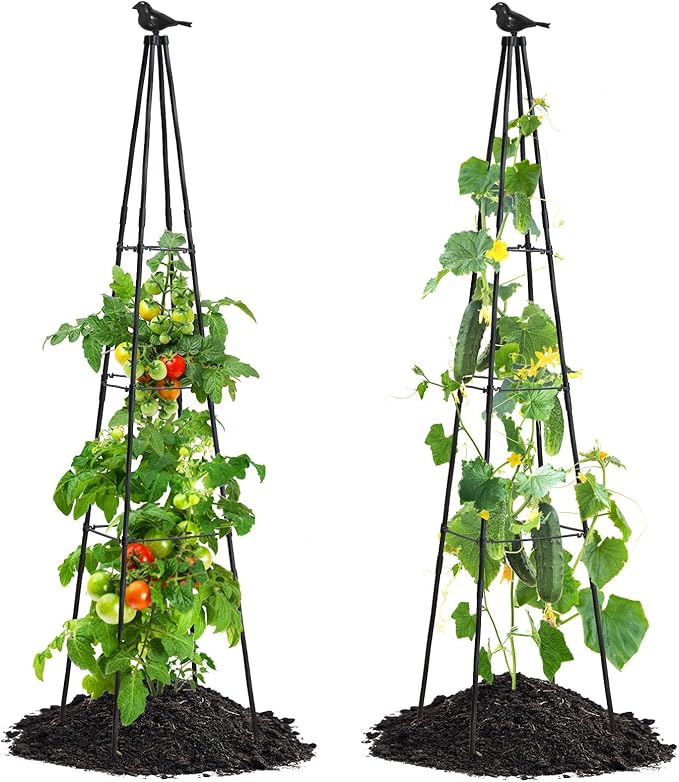Cucumber Trellis, 67" Tall Obelisk Garden Trellis for Climbing Plants Outdoor Plastic-Coated Metal Support for Flower Vine Vegetable Tomato Cage Cucumebr Trellis Raised Bed, Black, 2 Pack follook