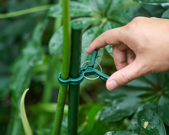 Garden Plant Clips 50 Pack Big Size Dark Green, Reusable Garden Plant Supports Clips for Supporting Stems of Flower Vine Vegetables Tomatoes Climbing ArtconalDirect