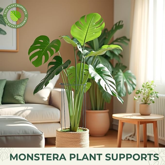 LEOBRO Plant Support, 8 PCS Peony Cages and Supports, Plant Stakes, Plant Supports for Indoor Plants, Outdoor Plants, Monstera Hydrangea Support Cage, 10" W x 24" H LEOBRO