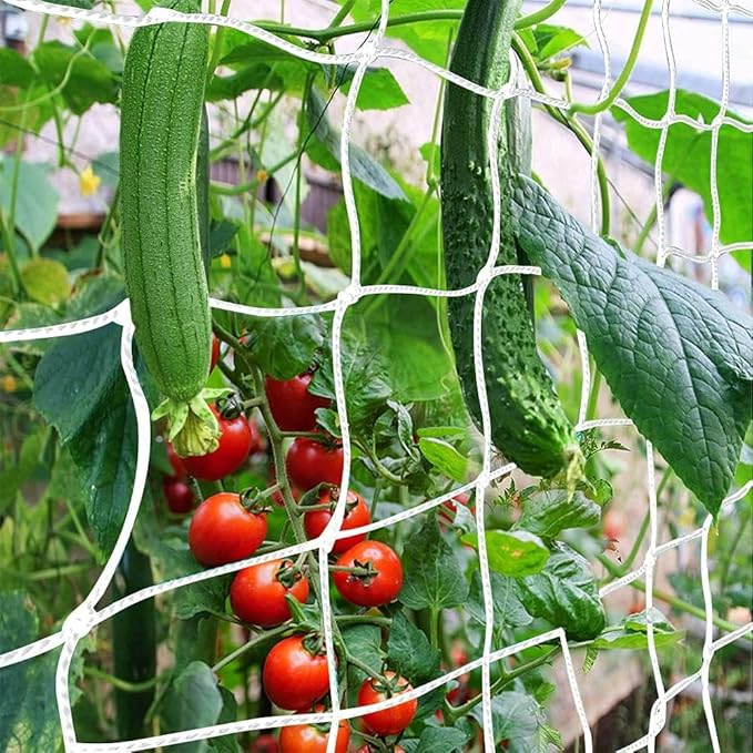 Trellis Netting, CANAGROW Heavy-Duty Garden Plant Trellis Netting for Climbing Plants, Outdoor Indoor Grow Net for Beans Tomatoes Peas Pumpkin Flowers, 𝟔 𝐱 𝟑𝟎𝐟𝐭, 𝐏𝐚𝐜𝐤 of 4 CANAGROW