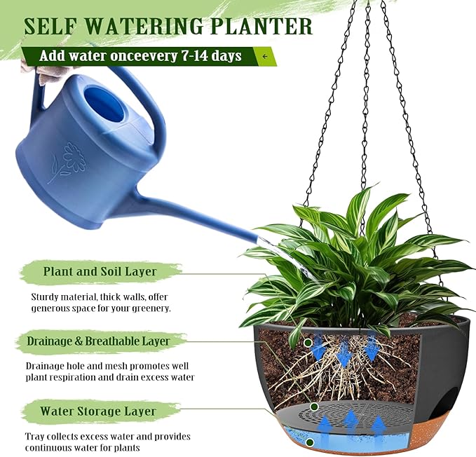 Hanging Planters for Outdoor Indoor Plants, 2 Pack 12 Inch Hanging Basket Plants Outdoor, Self Watering Hanging Planter with Plant Hanger for Garden Home Decoration (2 Type Plant Hangers Black) Lucieblessdesign