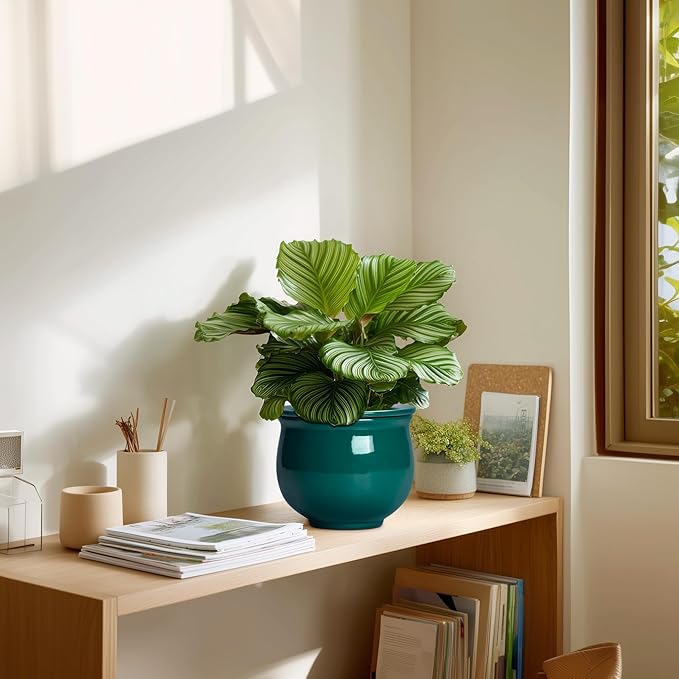 6 Inch Self Watering Plant Pots, Ceramic African Violet Pot with Absorbent Inner Pot, Easy Self Watering Pots for Indoor Plants, Ceramic Planter, Room Decor, Plant Lover Gifts, Blackish Green Teagas