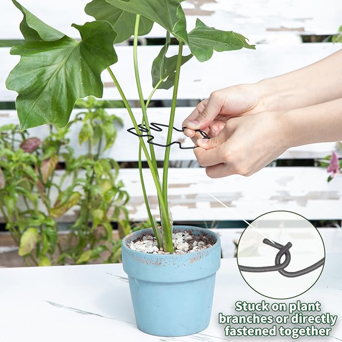 Monstera Plant Stem Support Set - 5pcs 4.13x2.95 inches Durable Supports for Indoor Climbing Plants - Easy-to-Use Stabilizers for Healthy Growth and Elegant Garden Decor Yohsnor