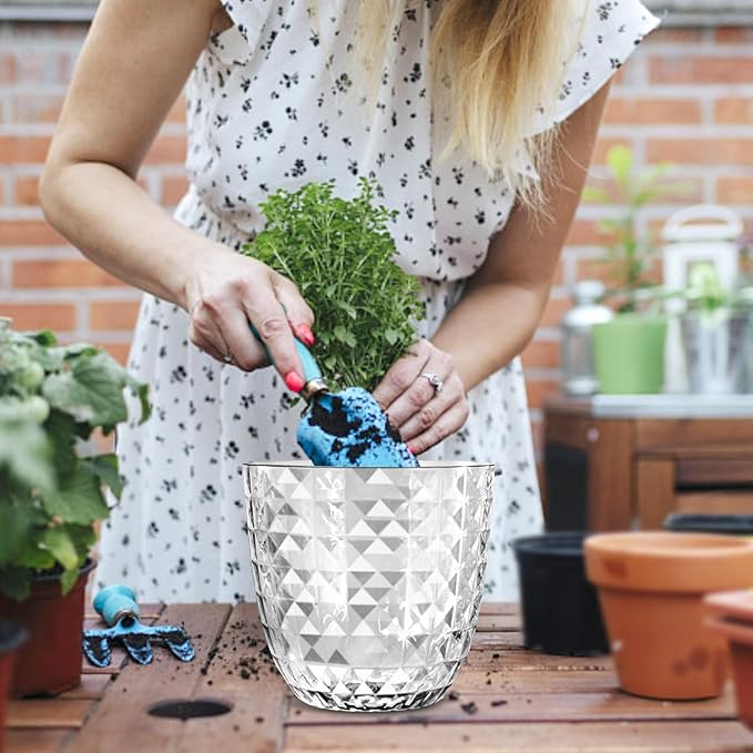Self Watering Pots for Indoor Plants, Flower Pots, Self Watering Plant Pot-3pcs 6inch Clear Etvski