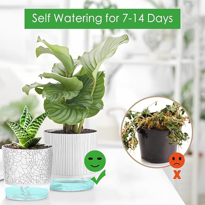 4 Pack Self Watering Pots for Indoor Plants, 4" + 5.5" Flower Pots with Wick Rope and Reservoir, Plant Pots for African Violet, Spider Plant, Orchid Rootora