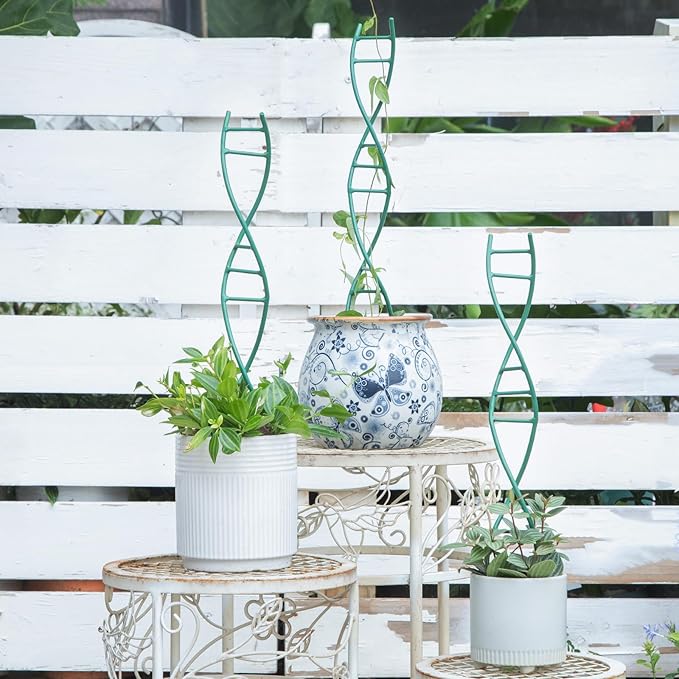 Indoor Plant Trellis - DNA Spiral Design Metal Trellis for Potted Plants, Stylish Climbing Support for Small Houseplants, Durable & Easy to Install Garden Upgrade for Vining Plants Goooxim