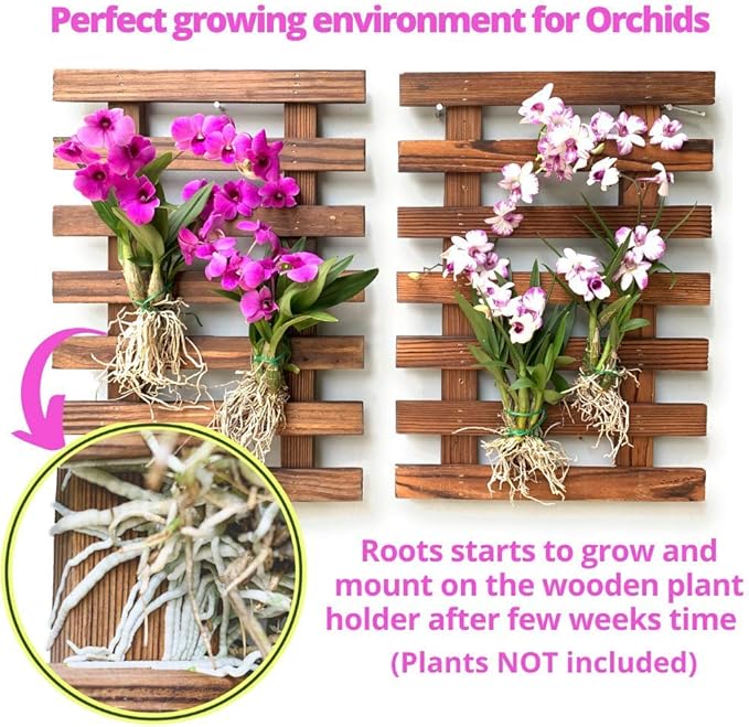 ShopLaLa Wall Planters - 4 Pack Wooden Hanging Planter for Indoor Outdoor Plants, Air Plant Succulent Orchid Holder, Live Vertical Garden Wall Mounted Plant Stand, Wall Christmas Decor 15.7" (40cm) ShopLaLa