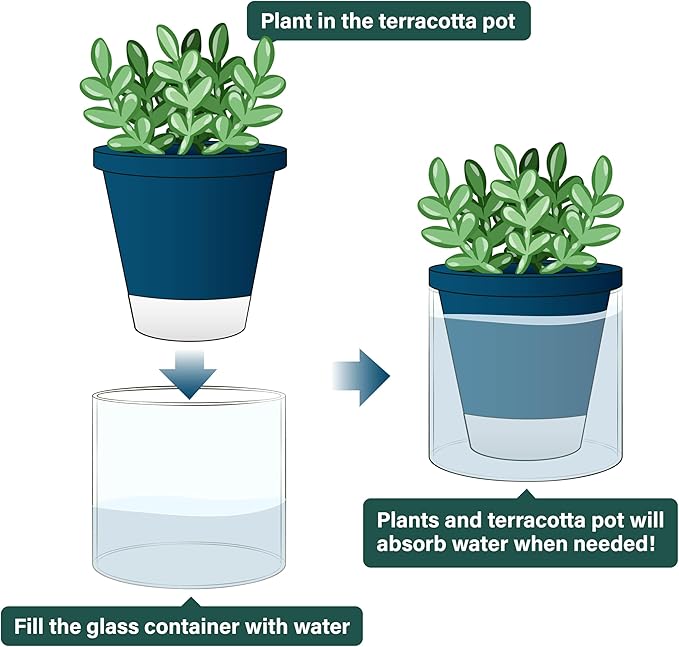 D'vine Dev 4 Inch Design Self Watering Planter for Indoor Plants, Blue Terracotta Pot with Cylinder Glass Cup, Set of 4, 37-Z-A-4-F DvineDevPlanterPotsandStand
