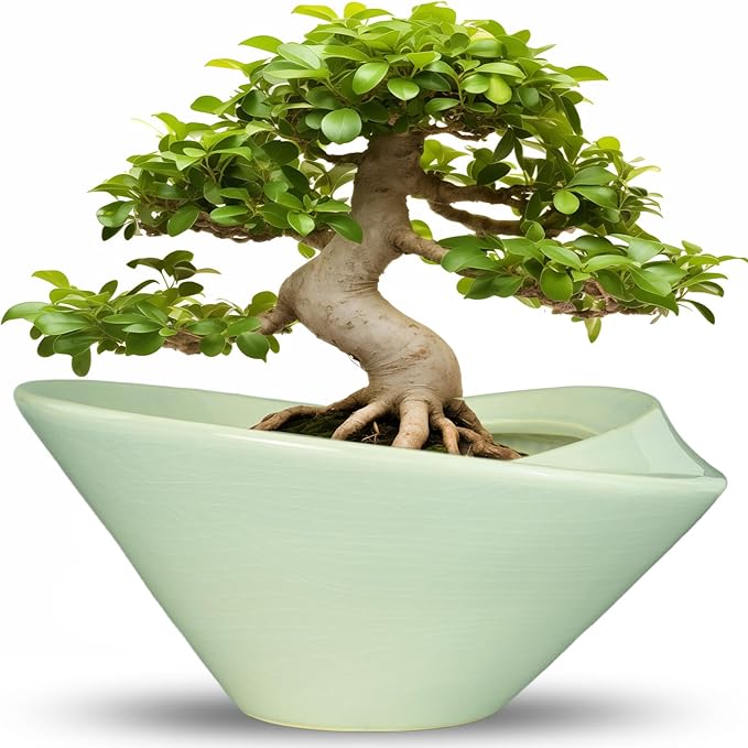Ceramic Bonsai Pots - Large Succulent Planter 13 Inch Plant Pot Indoor Succulent Pot with Drainage Hole Outdoor Planter Bonsai Tree Pot for House Home Garden Office Decor Green Teagas