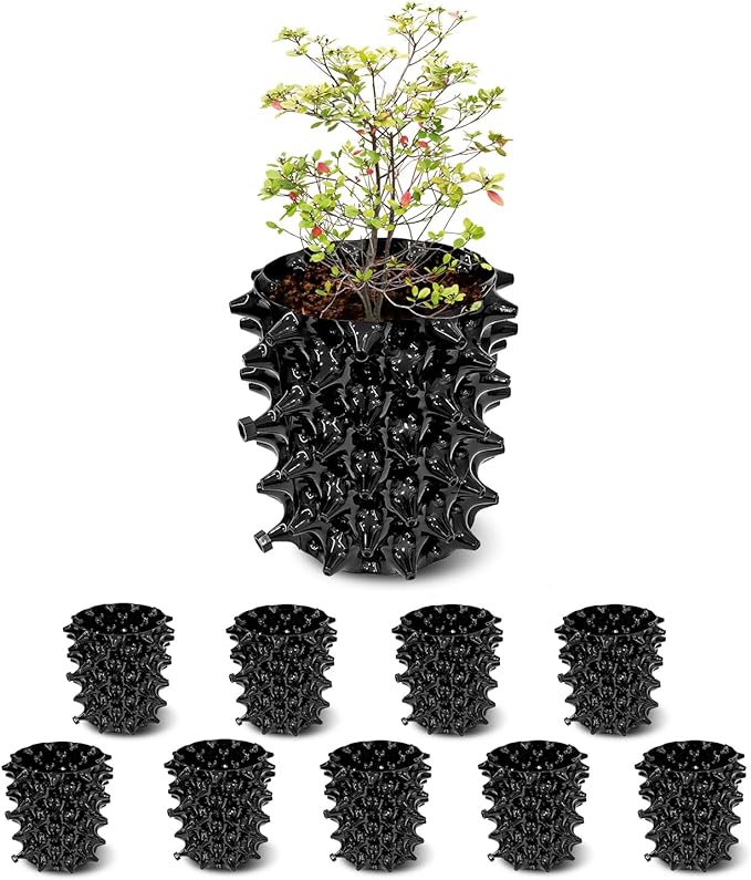 1 Gallon Air Pruning Containers, New Plastic Nursery Pots, Fruit Vegetable Garden Self-Planting Pots, Black (1G-10P) RooTrimmer
