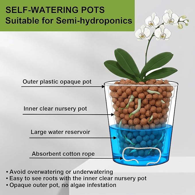 3 Pack of 6in Plastic Cachepot with 6 inch Clear nusery Pot - self Watering Indoor Planter with Drainage for Root Visibility,semi Hydro pots for repotting Orchids,Aroid or Monstera,Black TineDew