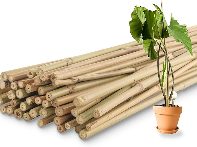 50Pcs / 3ft Bamboo Plant Stakes for Indoor Outdoor Plants, Garden Plant Support Sticks, Poles for Tomato Vegetables Beans Trees Potted Climbing Plants(0.32''-0.4'') Avalution