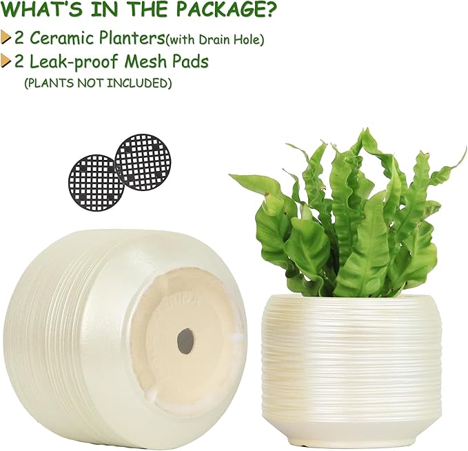 8 Inch + 6 Inch Ceramic Plant Pots Indoor with Drainage – Flower Pot Set, Decorative Indoor Planters for House Plants and Garden Use Bestseler