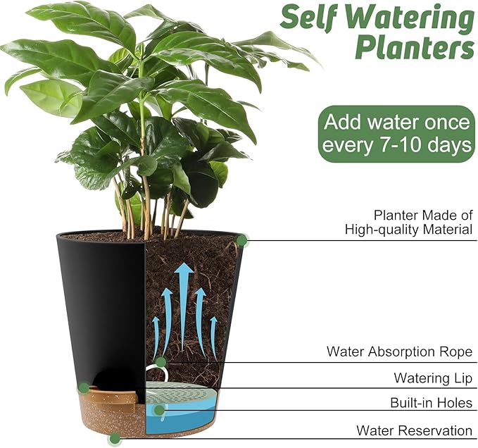 8-Inch Plant Pots, Self-Watering Planters with Drainage Holes & Saucers for Indoor and Outdoor Plants (2-Pack,Black) AFamilyofGardenLovers