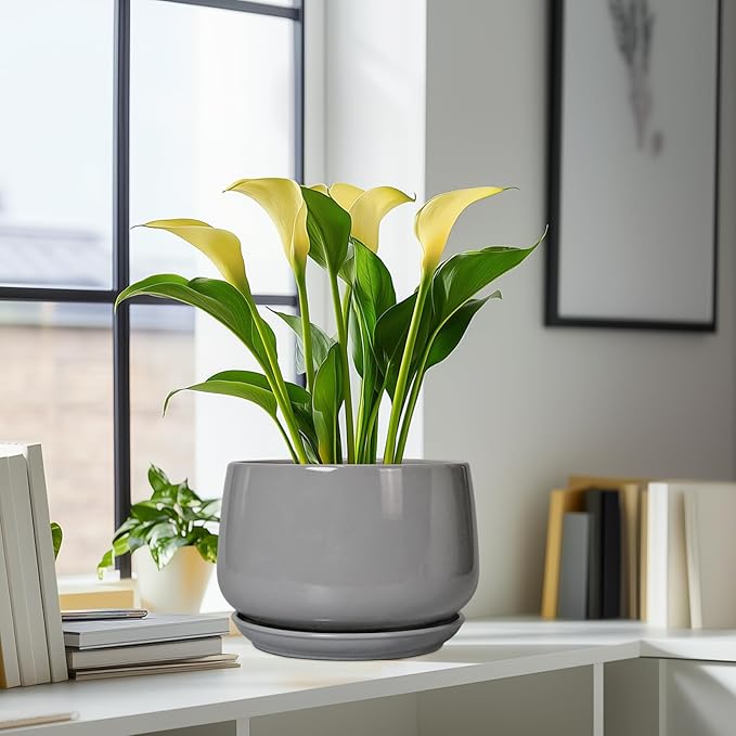 G EPGardening Ceramic Plant Pots - 9 Inch Modern Round Planter with Drainage and Plant Saucer for Indoor Outdoor Flower, Apartment Decor, Birthday Gifts, Grey GEPGardening