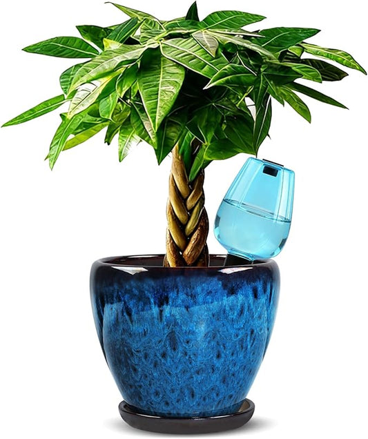 Ceramic Pots for Plant with Self Watering Globes, 8 inch Planters for Indoor Plants with Saucer, Glaze Flower Pots Outdoor with Drainage Holes, Decorative Garden Pots Xoogifae