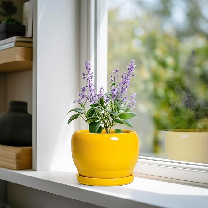 SQOWL 6 Inch Plant Pot - Ceramic Planter with Drainage Hole and Saucer, Modern Ceramic Flower Pots for Indoor Plants Outdoor, Round Decorative Small Planter, Desk Decor, Garden Gifts, Yellow SQOWL