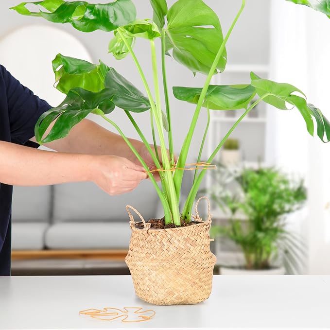 6PCS Iron Monstera Plant Support, Uniquely Designed Indoor Plant Accessories, Stable Plant Support Stakes for Indoor Plant, Turtle Shell Bamboo Clamp Set for Thriving Growth Rootora