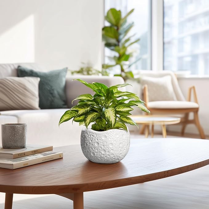 Ceramic Pots for Plants - 6 Inch Plant Pot for Indoor Outdoor, Decorative Orchid Pots with Drainage Hole, Unique Round Modern Planters, Home Decor, Gifts for Plant Lovers, White Thirtypot
