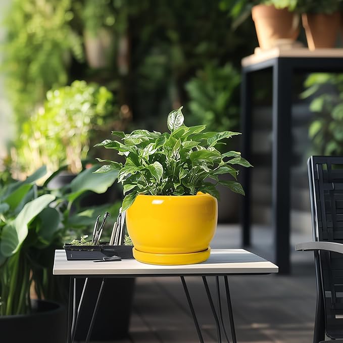 SQOWL Ceramic Plant Pot - 8 Inch Planter for Indoor Outdoor, Decorative Plant Pot with Drainage Hole and Saucer, Modern Round Planter for Flower, Desk Decor, Housewarming Gifts, Yellow SQOWL