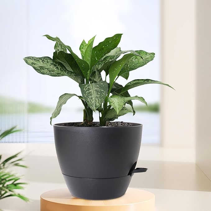 12 inch Large Self Watering Pots for Indoor Outdoor Plants, Flower Plant Pots with Mesh Drainage Holes for Garden House, Plastic Planters with Reservoir for Home Decor, Black Meowell