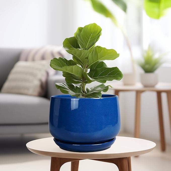 G EPGardening Ceramic Pots for Plants, 9 Inch Modern Round Planter with Drainage and Tray Indoor Outdoor for Flower, Patio Decor, Housewarming Gifts, Blue GEPGardening