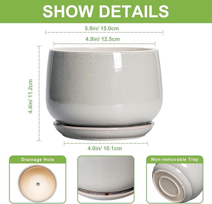 G EPGardening Ceramic Pots for Plants - 6 Inch Plant Pot with Drainage and Ceramic Tray, Modern Succulent Pots, Round Planters for Indoor Plants, Living Room Decor, Gifts for Plant Lovers, Light Grey GEPGardening