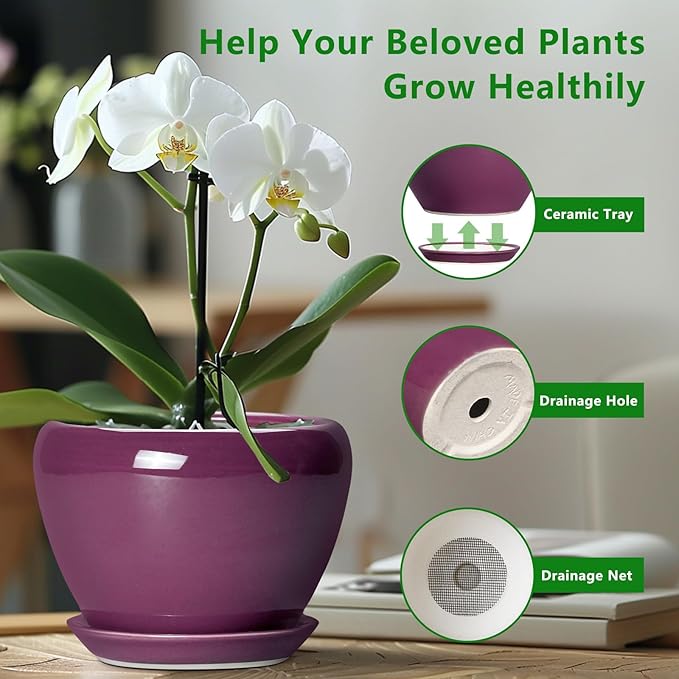 Ceramic Pots for Plants 6 Inch - Ceramic Plant Pots with Drainage Hole and Saucer, Glaze Round Planter for Succulent Plants, Gifts for Plant Lovers, Garden Home Decor, Purple Ceramicfor