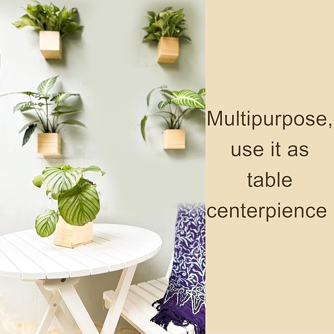 LaLaGreen Wooden Planter Box for Plants (4x4 Inch, 4 Pack) Small Square Wall Planters for Indoor Plant, Natural Wood Hanging Flower Pot Herb Planter Table Centerpiece Modern Home Garden Office Decor L%C3%A1L%C3%A1Green