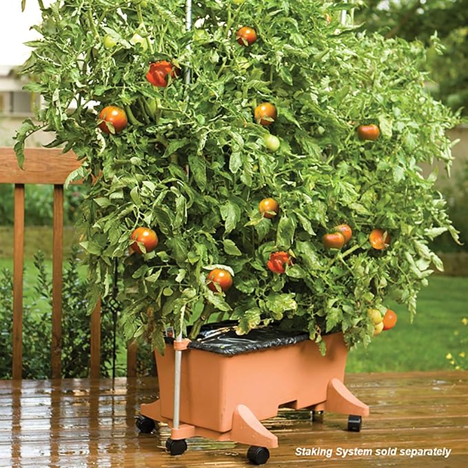 EarthBox 80105 Garden Kit, Standard, Terracotta EarthBox