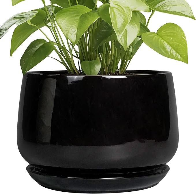 G EPGardening Ceramic Plant Pots - 9 Inch Round Planter, Ceramic Pots for Plants with Drainage and Tray, Flower Indoor Outdoor Planter, Modern Desk Decor, Plant Lover Gifts, Black GEPGardening