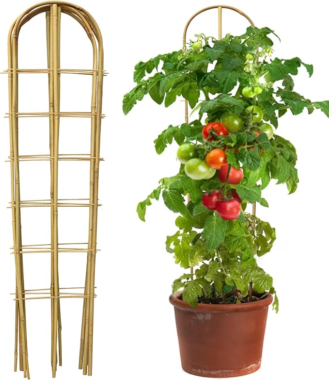 5 Pack 4 Feet U-Shape Bamboo Trellis, Natural Bamboo Trellis for Climbing Plants, Vegetables, Cucumber, Tomato, Outdoor and Indoor Potted Plants Taoskai