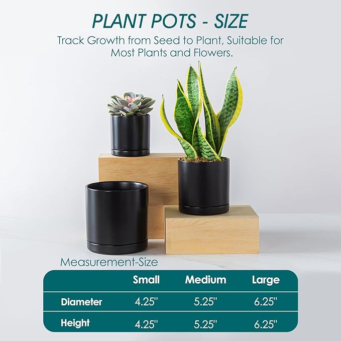 vancasso Ceramic Plant Pots, 3 Piece Planters for Indoor Plants, 4.25+5.25+6.25 Inch Flower Pots with Drainage, Plant Pots Indoor for Succulent, Pothos, Snake Plant and Money Tree, Etc (Black) vancasso