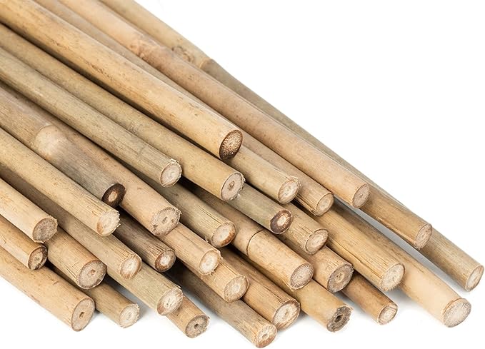 Plant Stakes Natural Garden Bamboo Sticks for Indoor and Outdoor Plants, GAGINANG 20pcs Plant Support Stakes for Tomatoes, Beans, Potted Plants - 16 inches GAGANANG