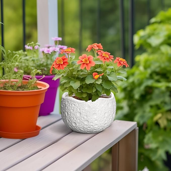 Ceramic Pots for Plants - 6 Inch Plant Pot for Indoor Outdoor, Decorative Orchid Pots with Drainage Hole, Unique Round Modern Planters, Home Decor, Gifts for Plant Lovers, White Thirtypot
