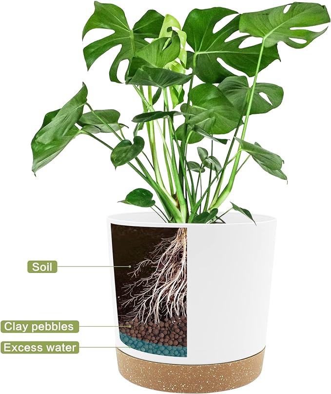 QCQHDU 6.5 inch Plant Pot, 2 Pack Planters for Indoor Plants with Drainage Holes & Saucer, Outdoor Flower Pots Home Garden Modern Decor QCQHDU