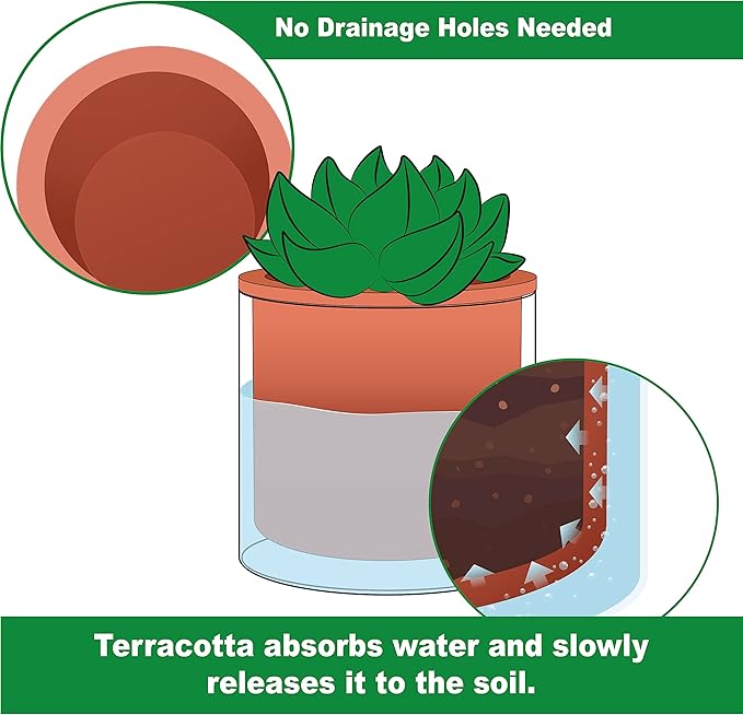 Phoenix Vine 4 Inch Self Watering Plants Pot, Design Terracotta Pot for Plants, Indoor Cylinder Terra Cotta Planter with Glass Vase, Set of 2, 51-A-E-2 Phoenix+Vine