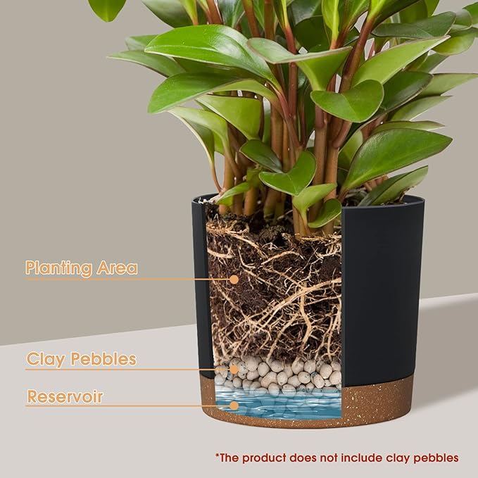 kubvici Plant Pots for Indoor Plants, 2 Pack 8 Inch Plastic Flower Pot Planters with Drainage Saucer for Indoor Outdoor Garden Home (8” Black) kubvici