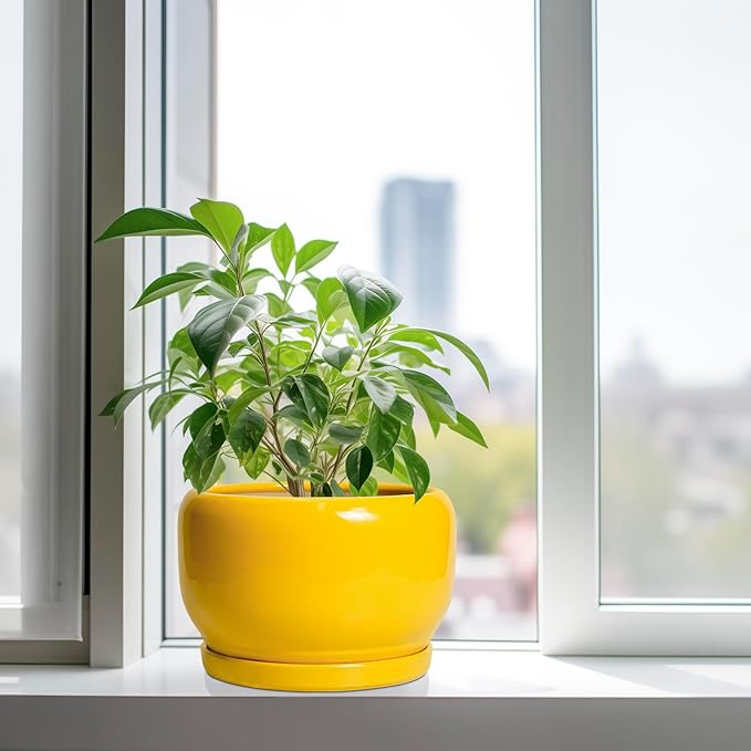 SQOWL 10 Inch Plant Pot - Ceramic Planter with Drainage Hole and Saucer, Modern Large Flower Pot for Indoor Outdoor Plants, Decorative Round Planter, Home Decor, Gifts for Gardeners Woman, Yellow SQOWL