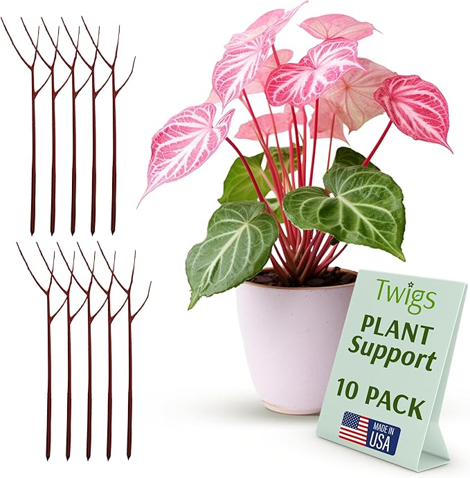 Plant Support Stakes for Indoor & Outdoor Use, Durable Trellis Alternative for Climbing & Potted Plants, Houseplant Stem Holder Structures - Begonia Red, 10 Pack, 22" L, Original TwigsGardenAccessories