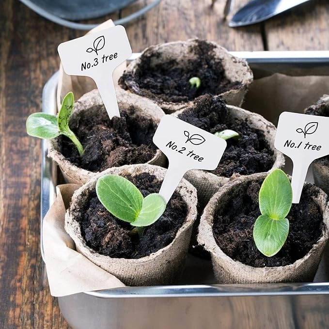 KINGLAKE 100 Pcs 6 x10cm Plastic Plant T-Type Tags Nursery Garden Labels KINGLAKE