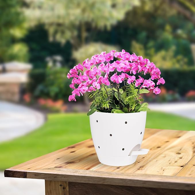 6 Inch Orchid Pots with Holes, 2 Pack Self Watering Planters for Orchids Plastic Orchid Pot Plant Flower Pots for Orchids Indoor Outdoor (White) Vanslogreen