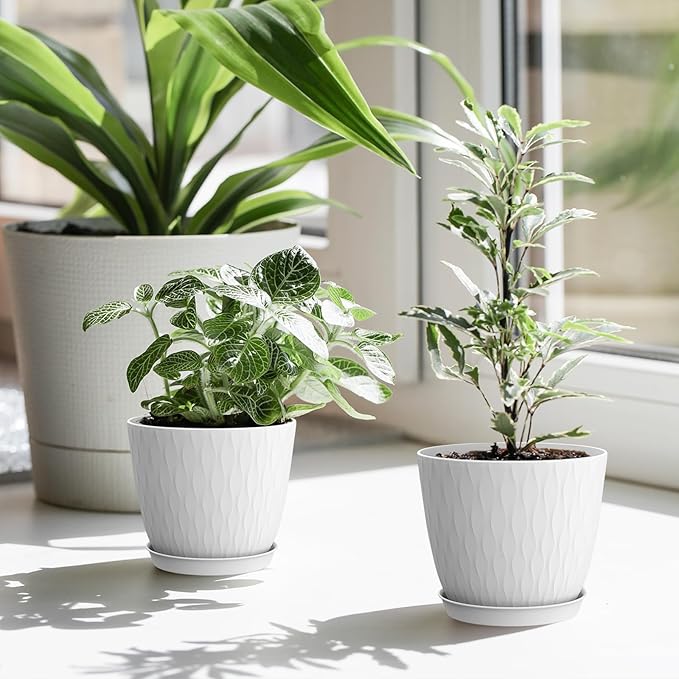6 inch Flower Pots, 5 Pack Plant Pots with Drainage Holes and Saucers for Indoor Plants, Plastic Planters with Water Ripple for Small Garden House Plants, Nursery Pots for Succulent, White WSMKSZ