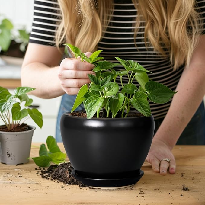 Ceramic Planter Pot - 6 Inch Plant Pot with Drainage Hole and Saucer Round Planter for Indoor Plants Outdoor Succulent Pot Modern Flower Pot for Home Decor Black Ceramicfor